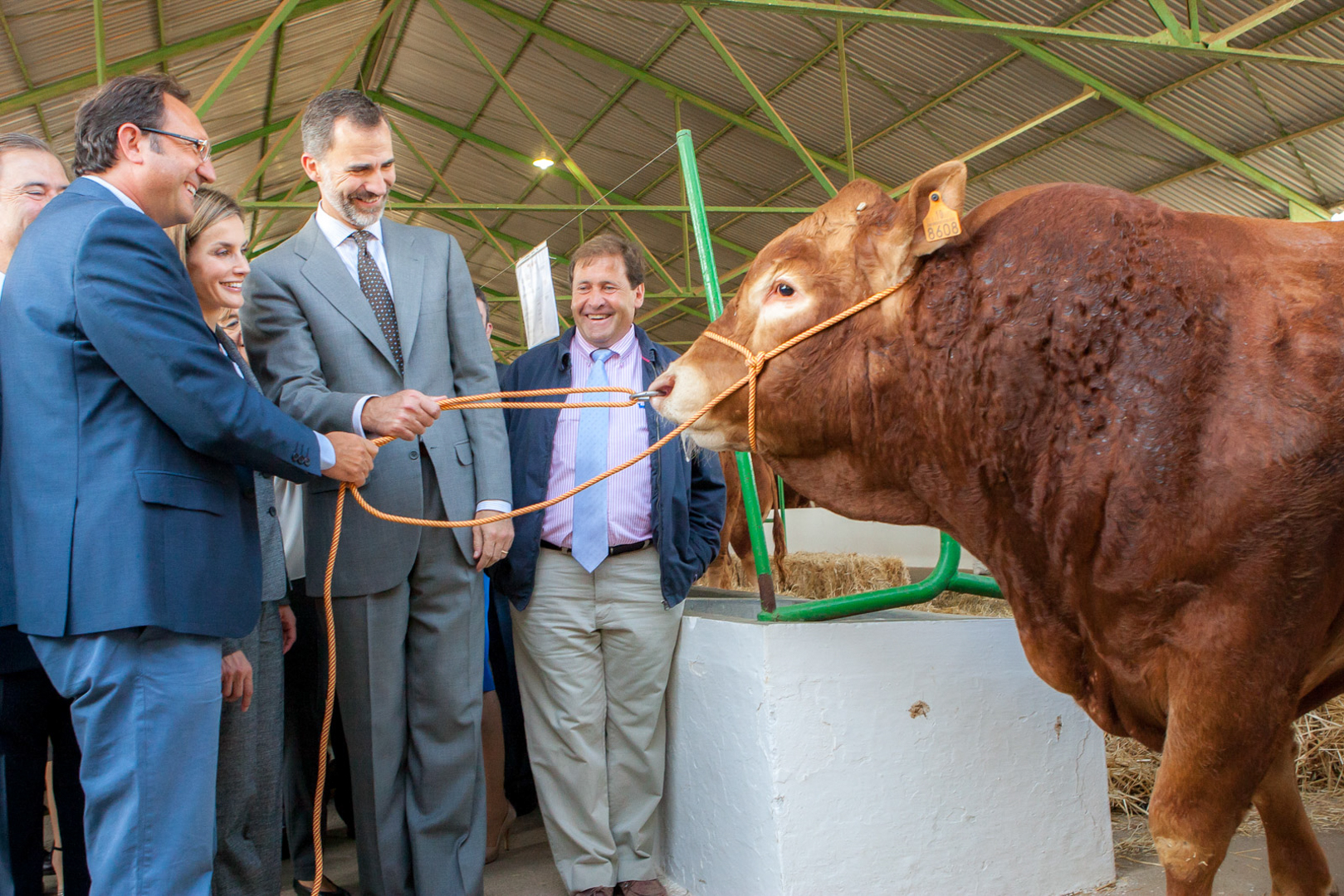 Zafra, Inauguración de la feria del Ganado, Visita de Los reyes Don Felipe VI y doña Letizia